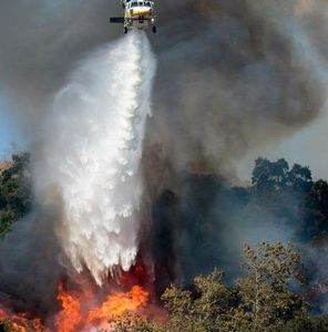 Meet your Posher, Chip